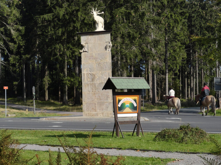 Reiten in Frauenwald