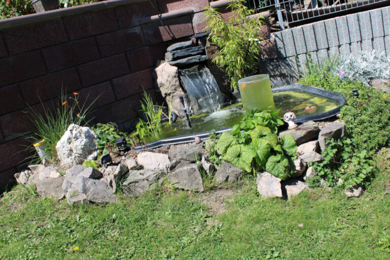 Ferienwohnung Waldblick