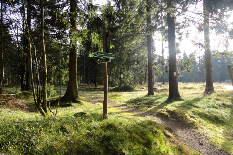 Rennsteig, Frauenwald