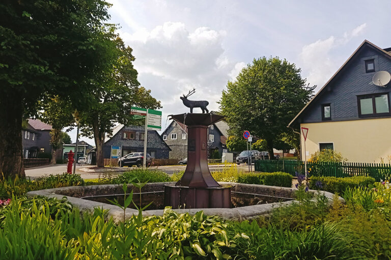 Brunnen, Frauenwald