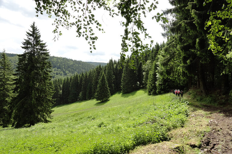Wandern um Frauenwald