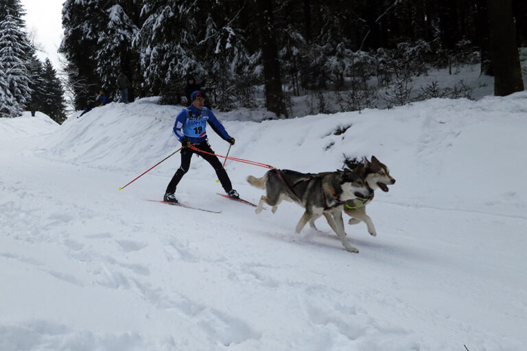 Schlittenhunderennen, Frauenwald