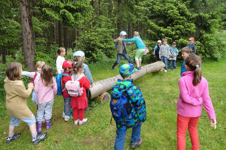 Zwergenpfad, Frauenwald