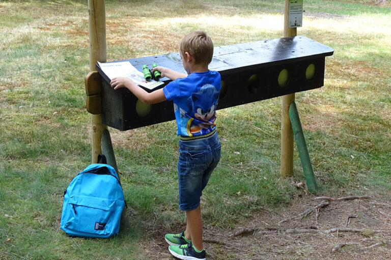 Zwergenpfad, Frauenwald