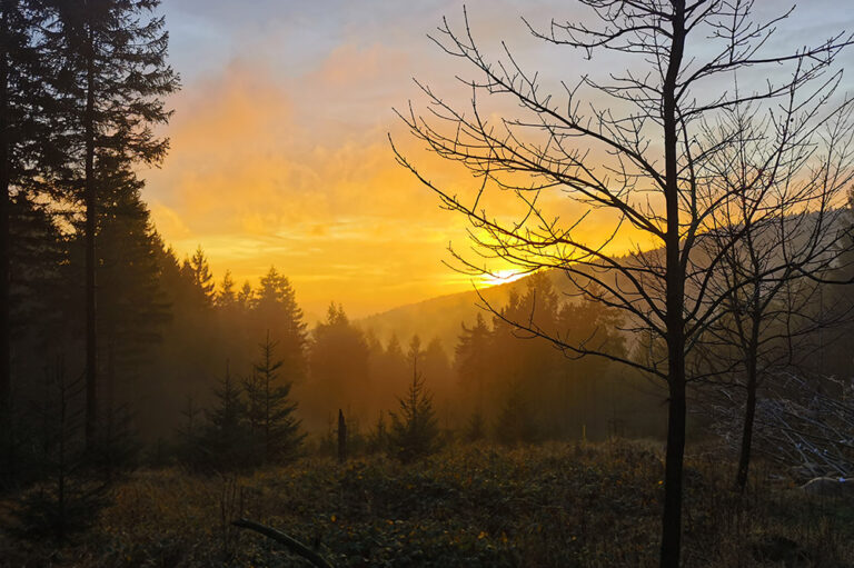 Frühling in Frauenwald © Ilmenau kreativ erleben