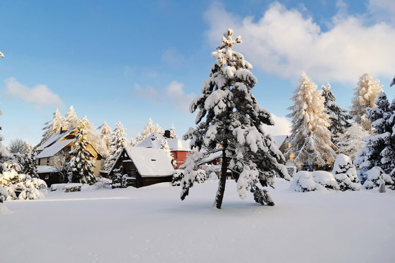 Winter in Frauenwald © Ilmenau kreativ erleben