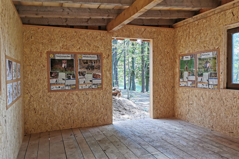 Hasenschule im Lieblingswald, Frauenwald © grafikcentrum